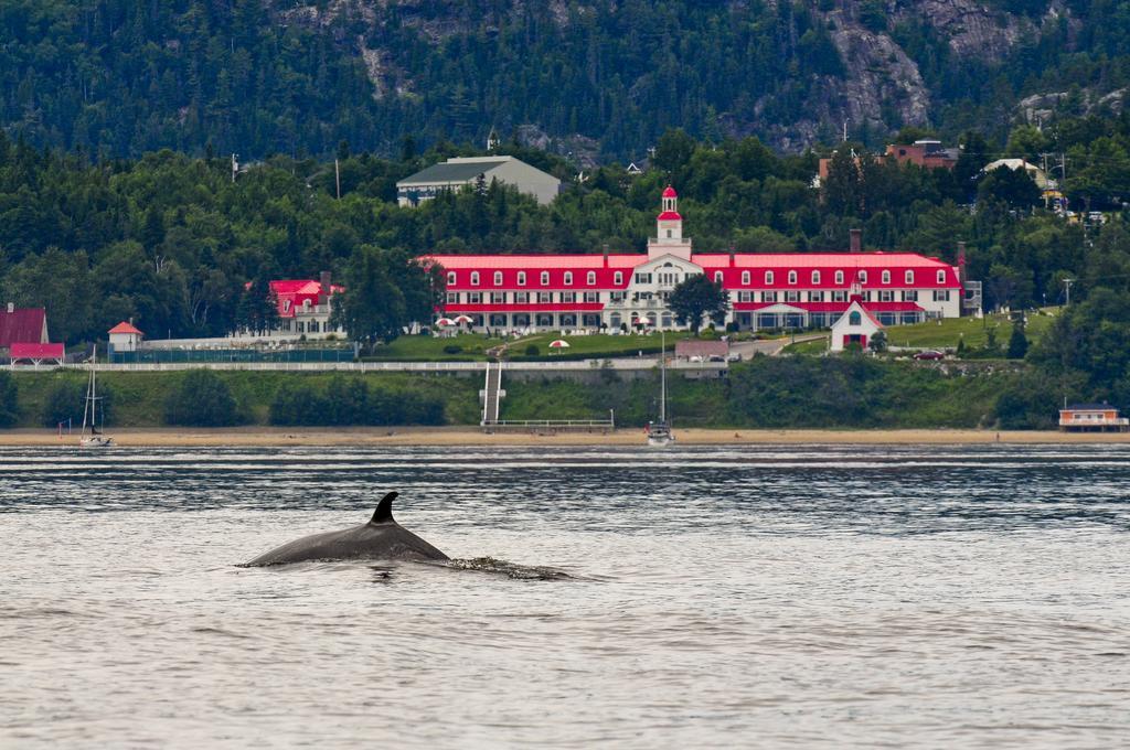 Gite Au Vieux Pommier Tadoussac Buitenkant foto