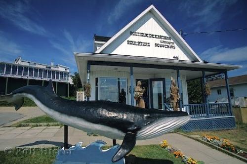 Gite Au Vieux Pommier Tadoussac Buitenkant foto