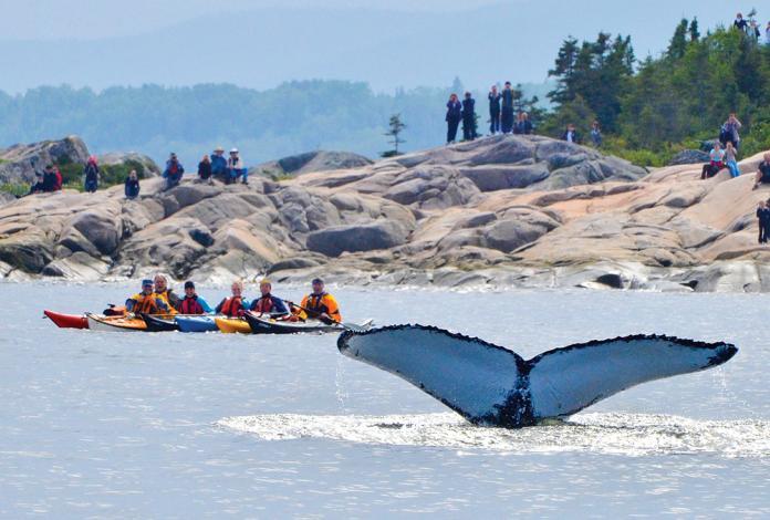 Gite Au Vieux Pommier Tadoussac Buitenkant foto